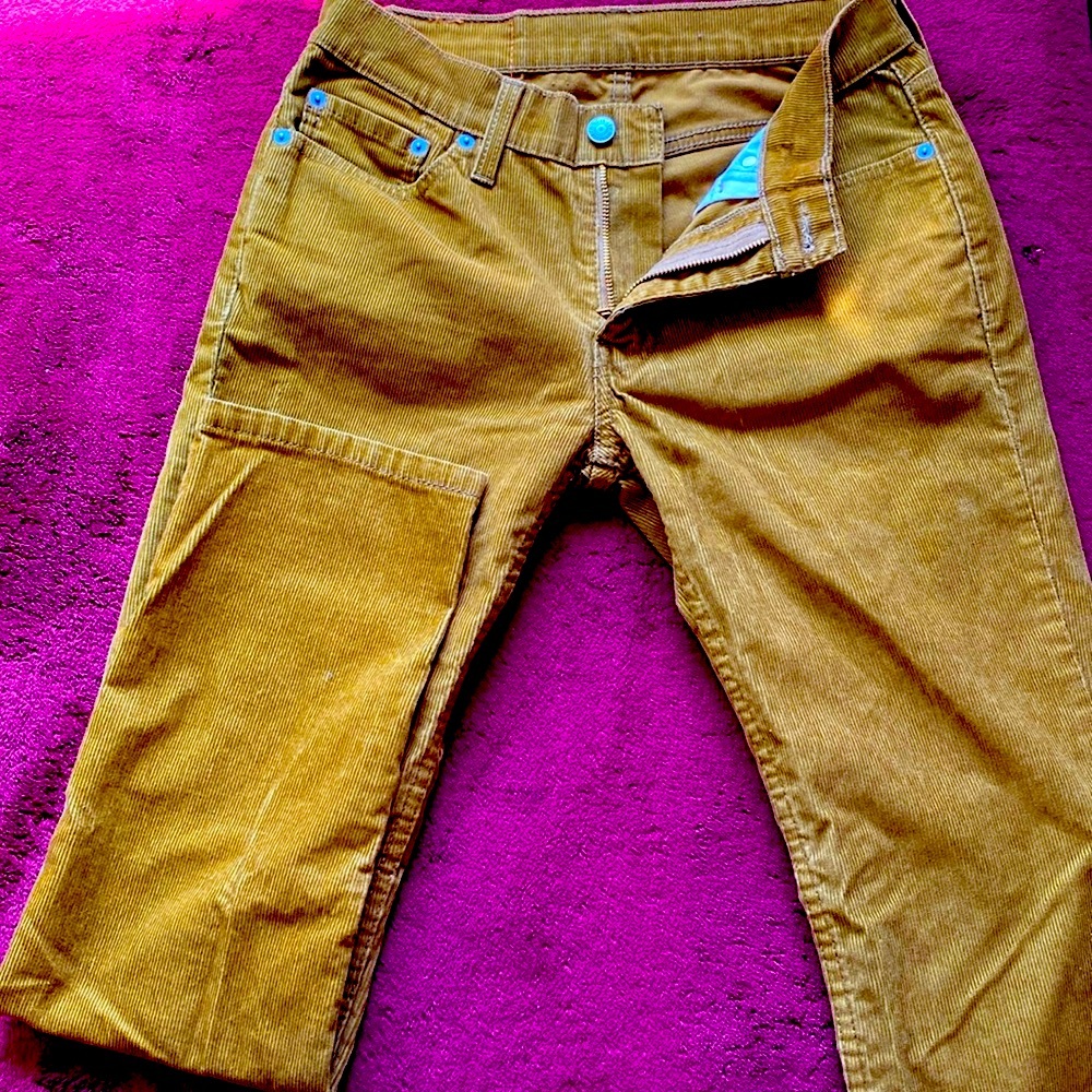 Tan Levi’s corduroy pants. Size: W:28 L:30. Condition: 8/10